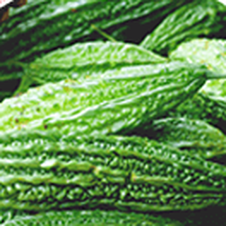 Bitter Melon ingredient used for cholesterol balance in GlucoWave supplement